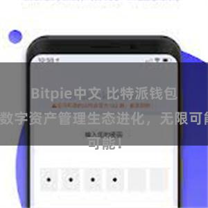 Bitpie中文 比特派钱包：数字资产管理生态进化，无限可能！