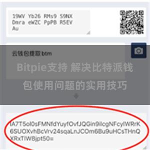 Bitpie支持 解决比特派钱包使用问题的实用技巧