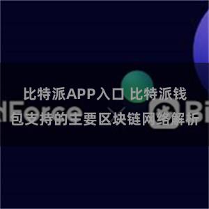 比特派APP入口 比特派钱包支持的主要区块链网络解析