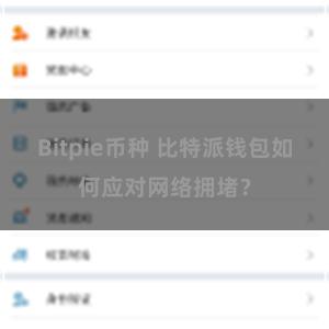 Bitpie币种 比特派钱包如何应对网络拥堵？