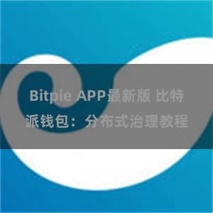 Bitpie APP最新版 比特派钱包：分布式治理教程