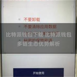 比特派钱包下载 比特派钱包多链生态优势解析