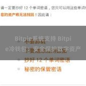 Bitpie系统支持 Bitpie冷钱包：安全保护数字资产