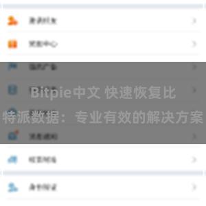 Bitpie中文 快速恢复比特派数据：专业有效的解决方案