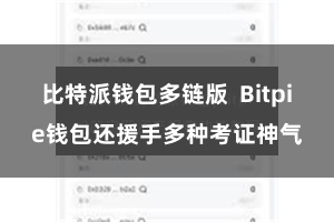 比特派钱包多链版  Bitpie钱包还援手多种考证神气